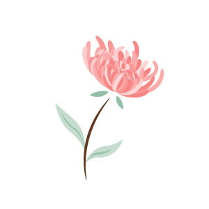 Floral Illustration Pack