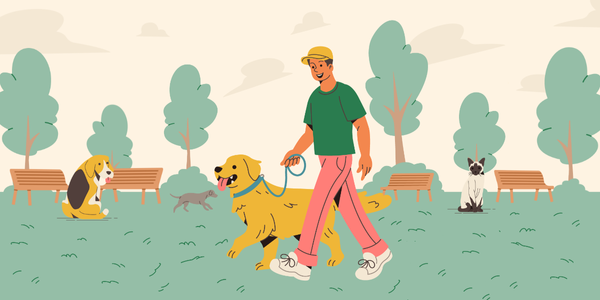 a custom graphic illustration designed by Pixel True