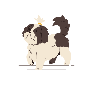 Animals and Pets Illustration Pack